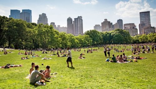 Nueva York preparada para enfrentar la ola de calor más severa en últimos años