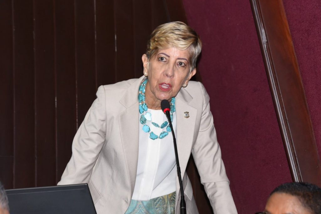 <strong>Senadora Ginette Bournigal afirma «Quitaría» a ministro de Energía y Minas</strong>