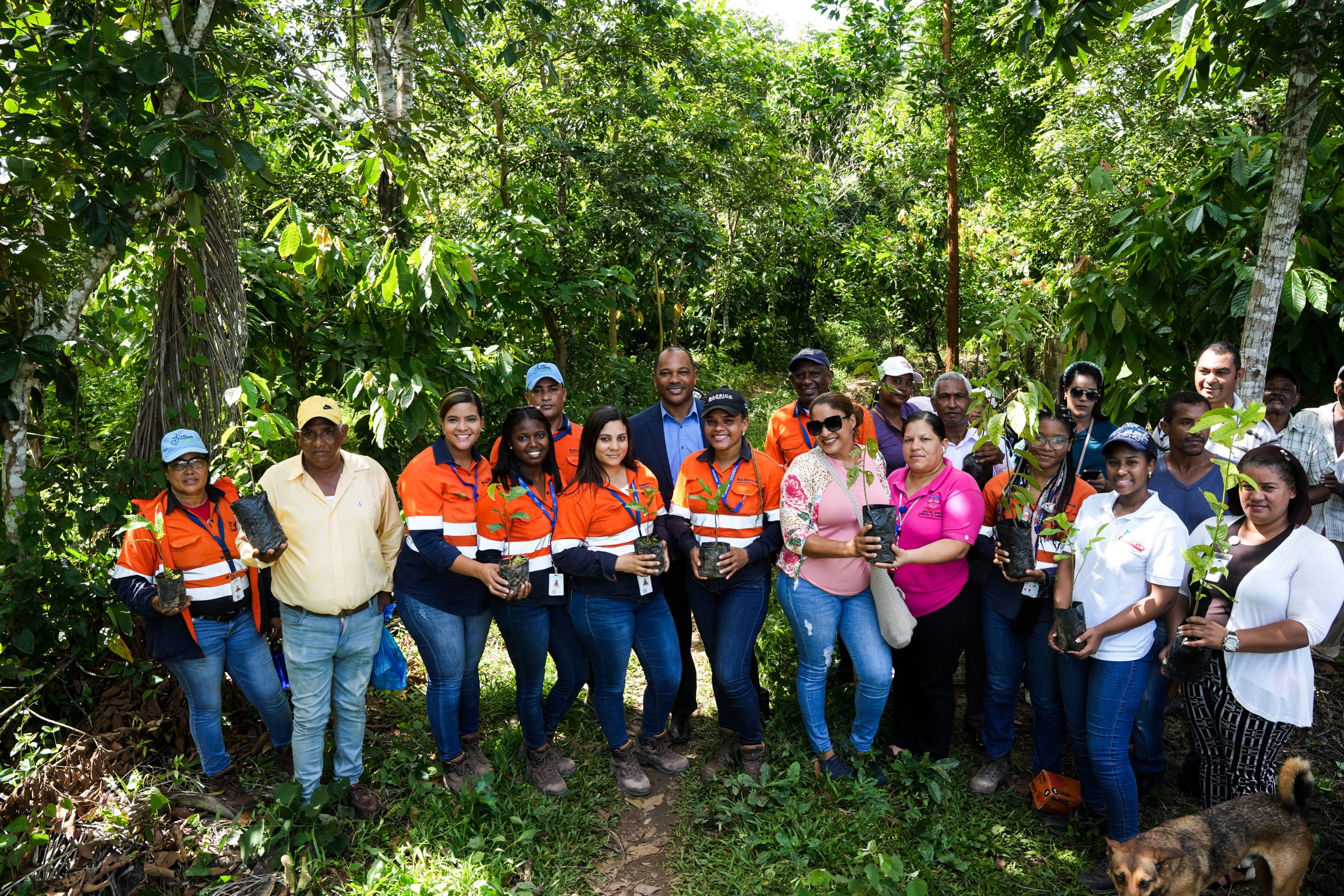 –Comunidades de Sánchez Ramírez realizan siembra de Candongo como parte del programa Misión Rescate Lista Roja