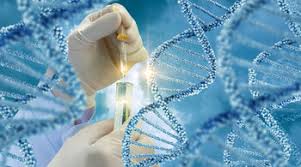 Pruebas genéticas en la detección y tratamiento del cáncer