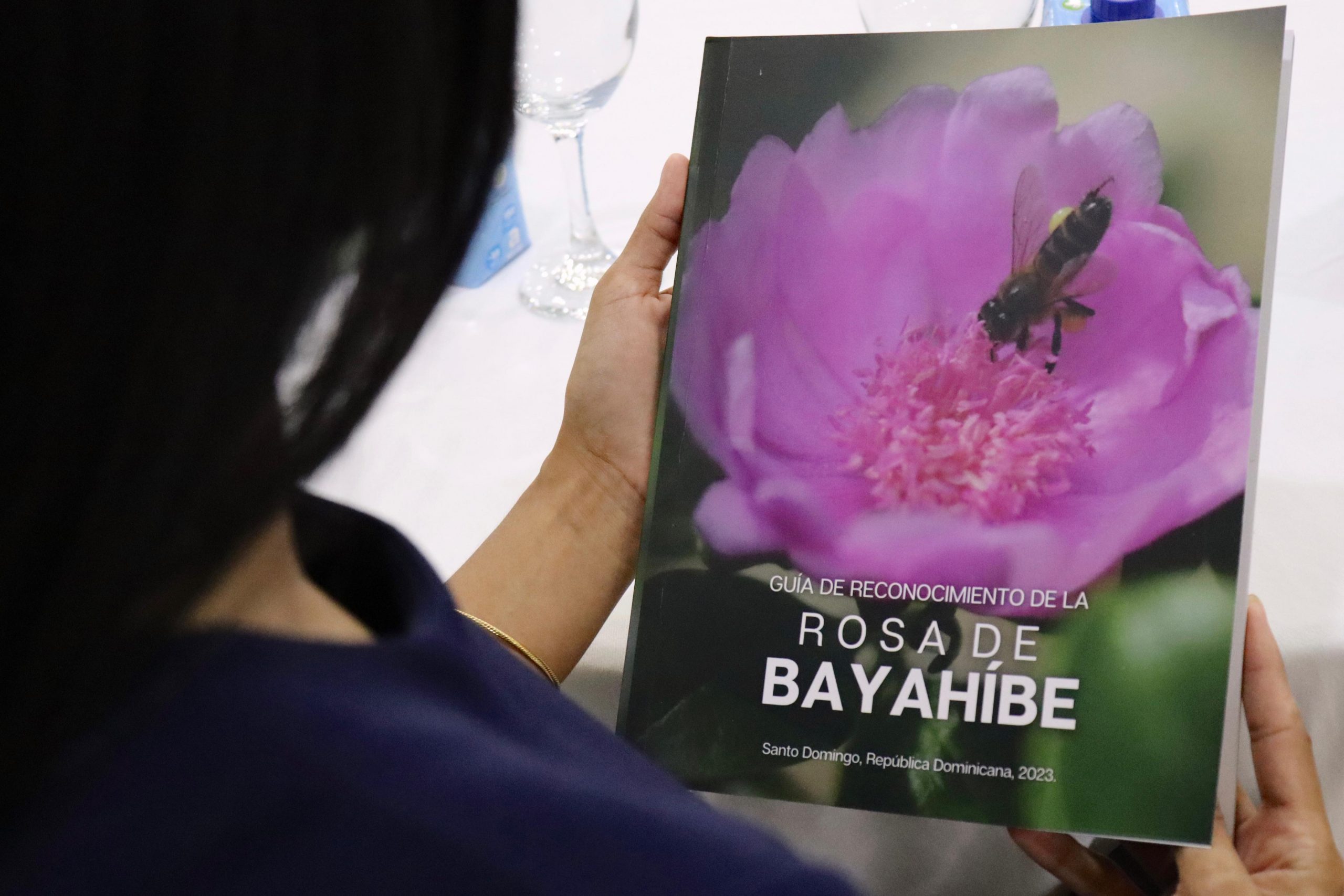 Fondo MARENA realiza lanzamiento de la 1ra. Guía de Reconocimiento de la Rosa deBayahíbe(Leuenbergeria Quisqueyana)